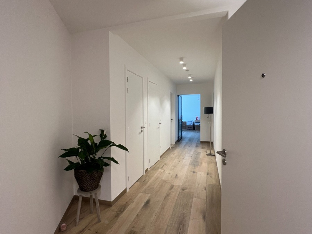 Kleuterstraat - 2 - 0202 - 3930