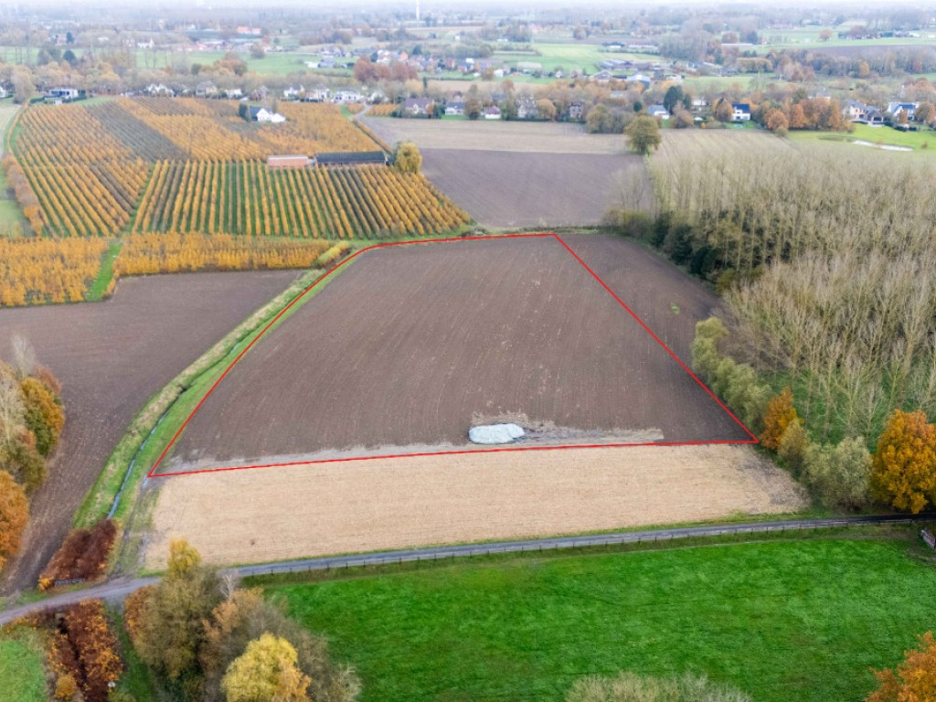 Molenvoetweg - zn - - 3500