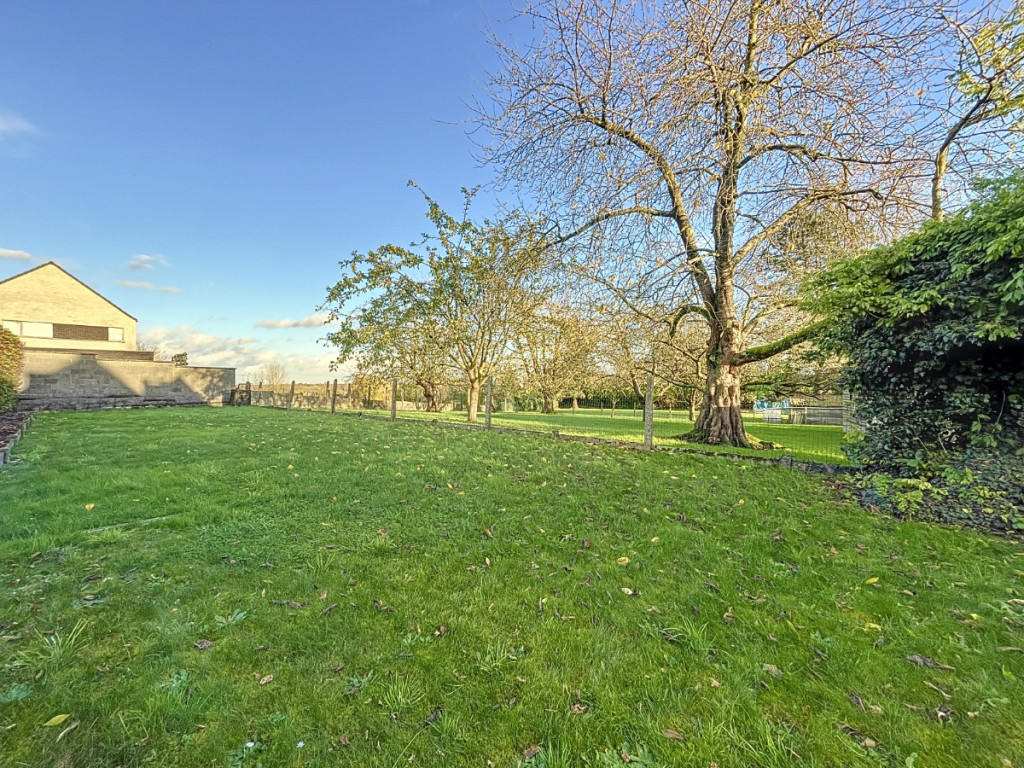 Rue du Bois - 37 - - 7866