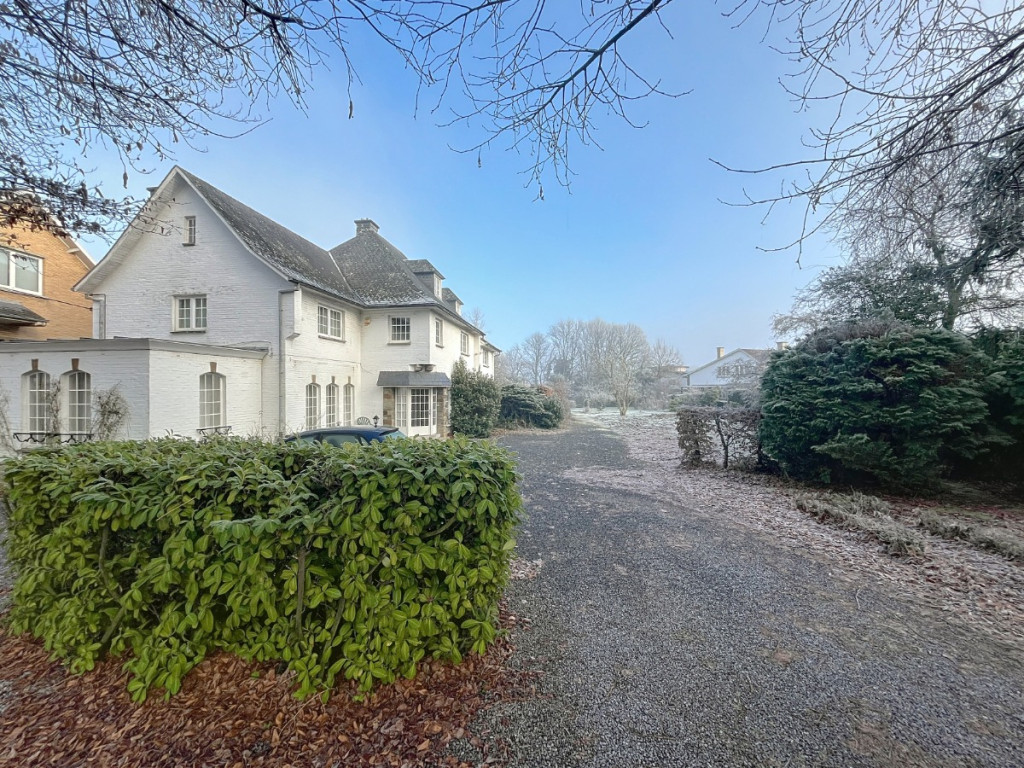 rue du hetre pourpre - 36 - - 4053