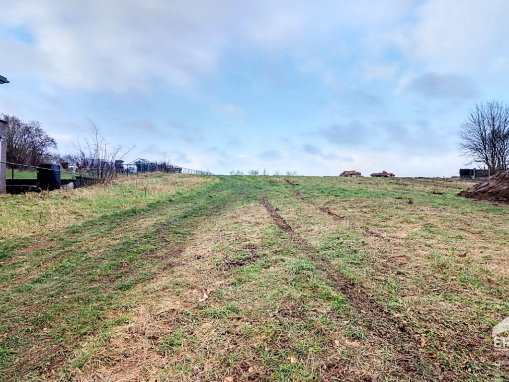 Rue du Cerisier - 50-54 - - 1490