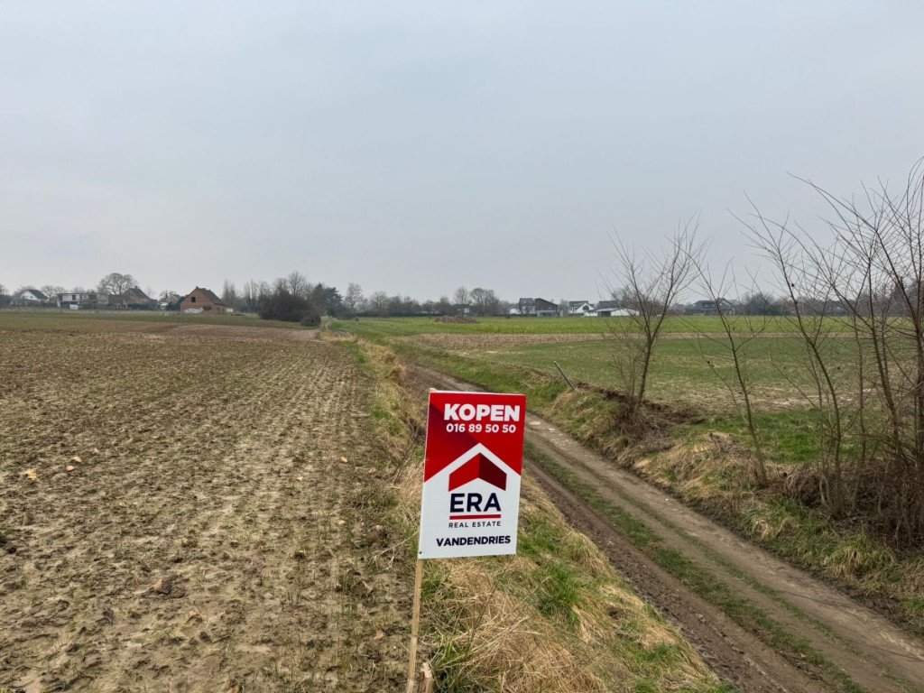 Zavelputstraat - Bosveld - - 3012