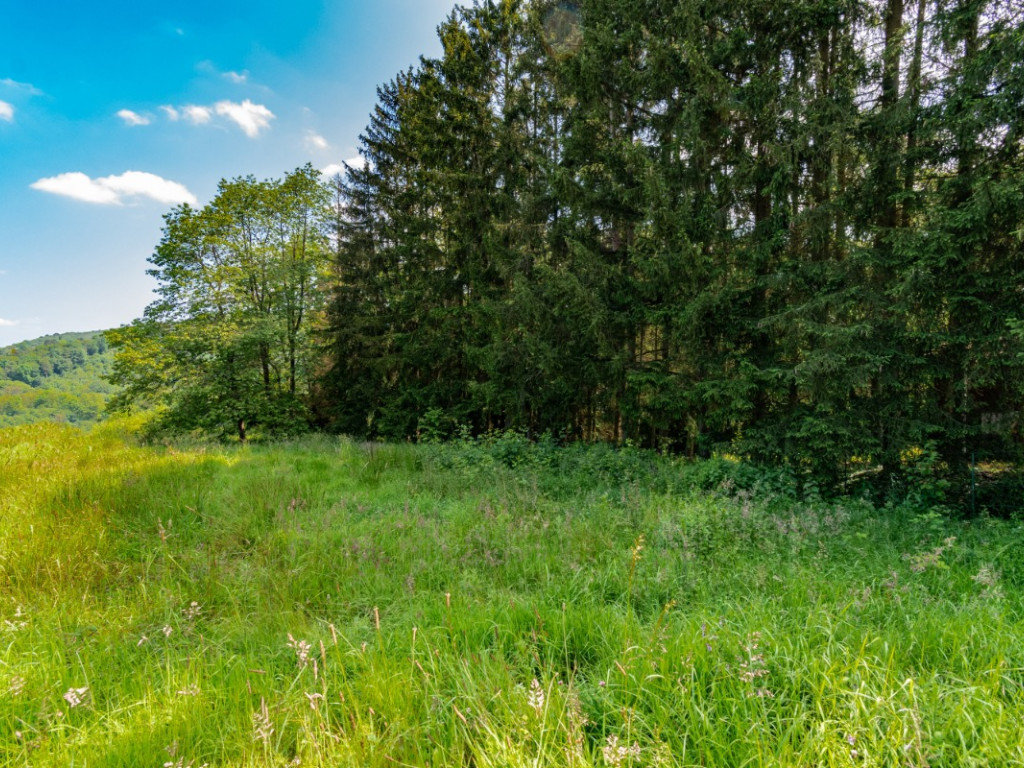 Rue d' Inzefin - 0 - - 6990