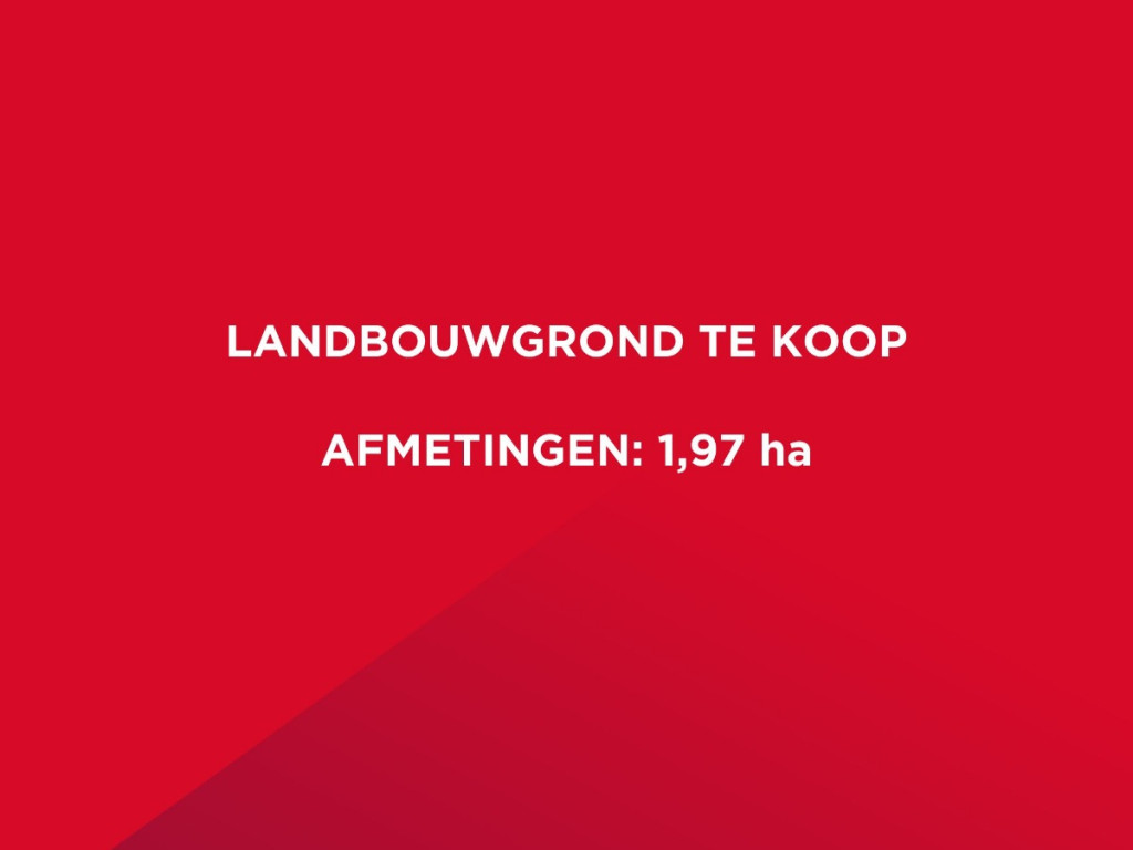 Cathilleweg - + - - 8490