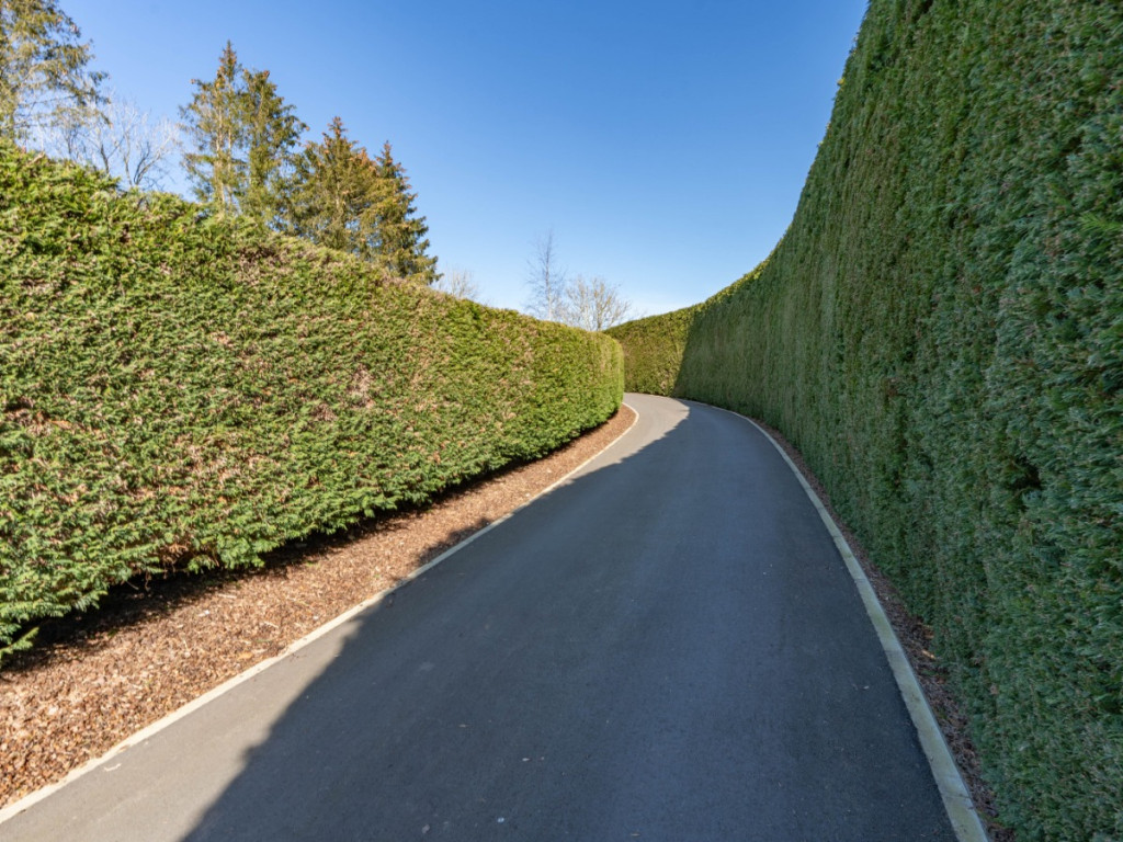 Sous le tonan - 3 - - 6987