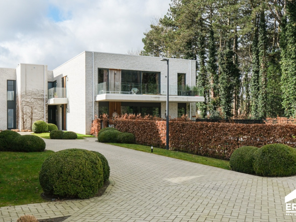 Sint-Niklaasstraat - 39N - - 2260