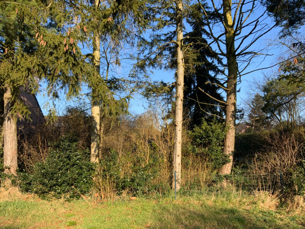 Neerstraat - 9 - - 3582