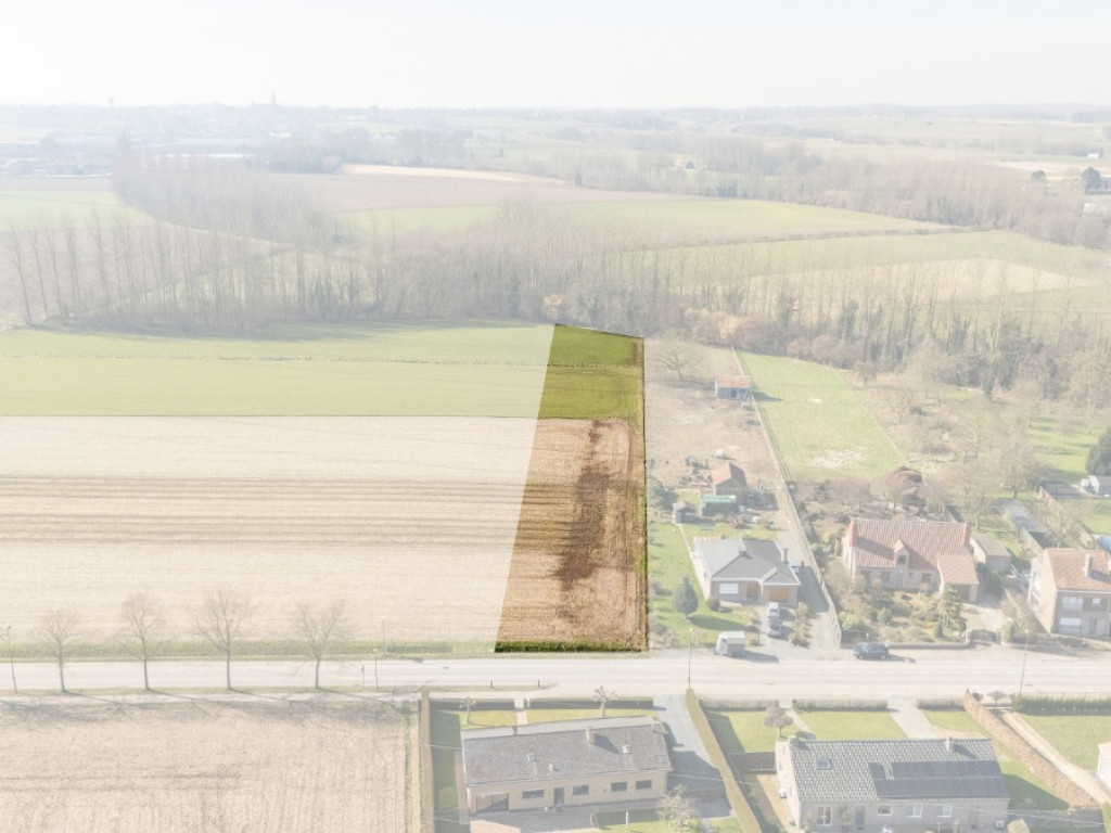 Velm - ZN - - B206/00L2 (HET ZAK) - 1730
