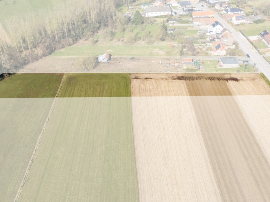 Velm - ZN - - B206/00L2 (HET ZAK) - 1730