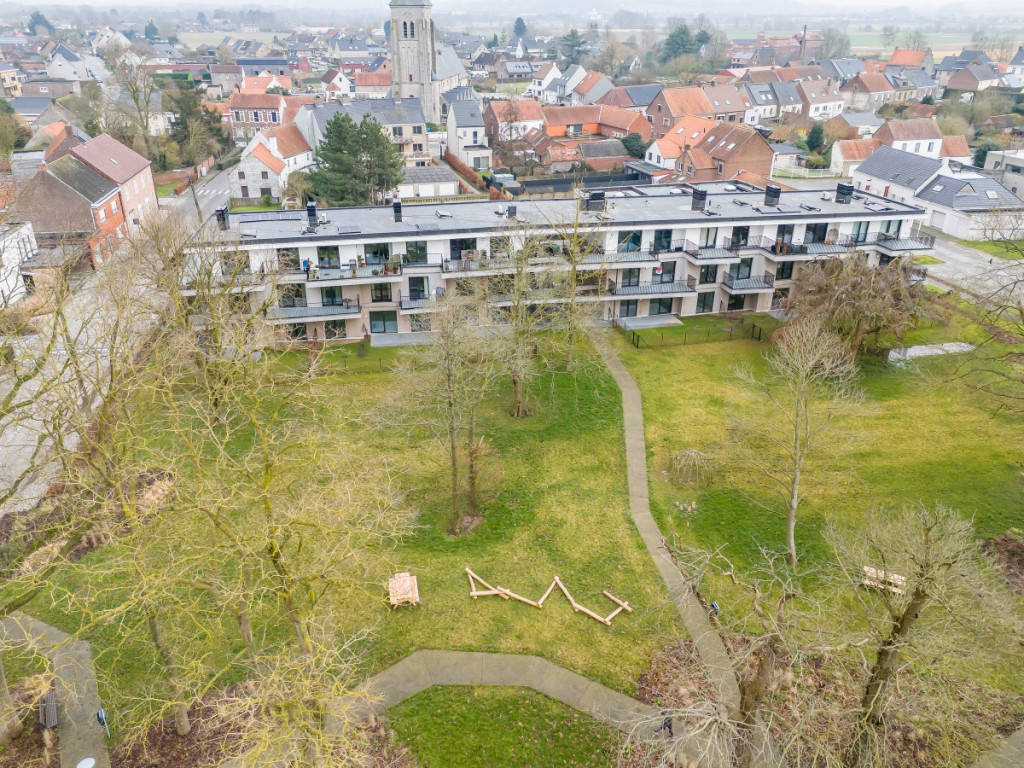 Petegemplein - 5 - 0.03 - 0.03 - 9790