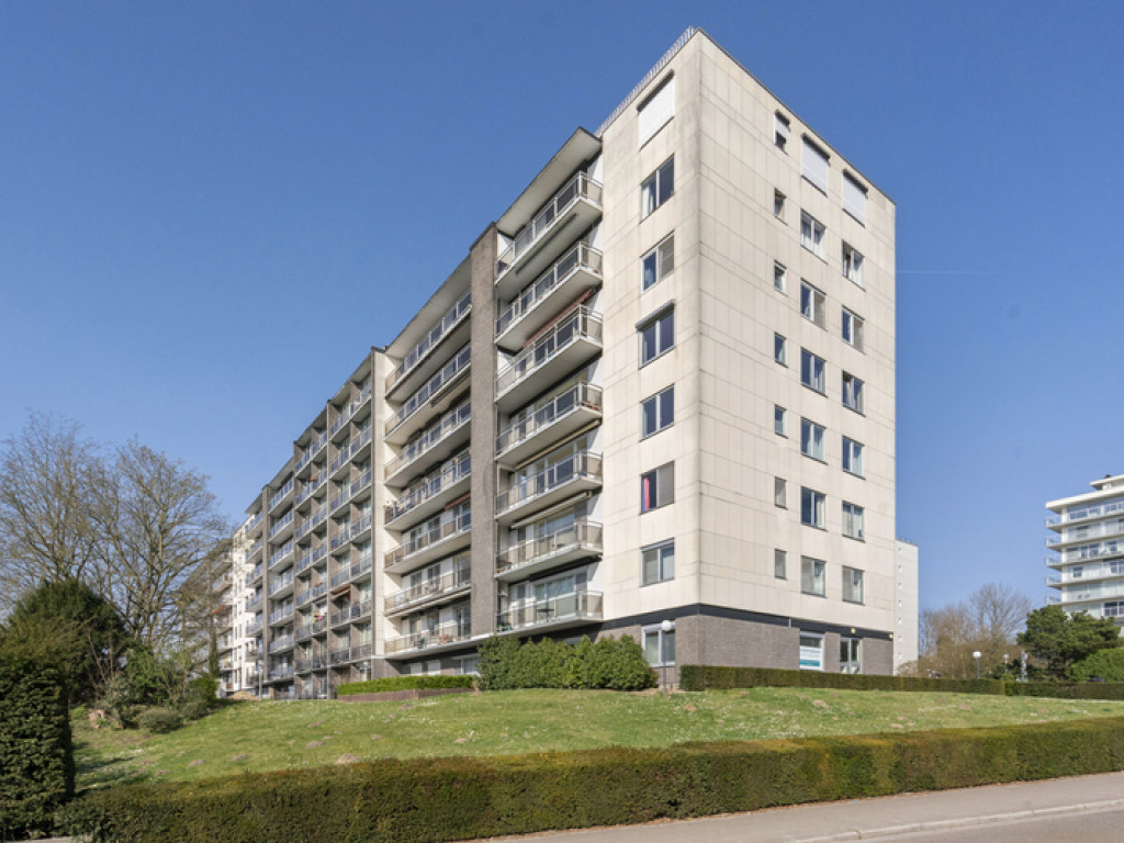 Leeuwerikenstraat - 39 - 0001 - 3001