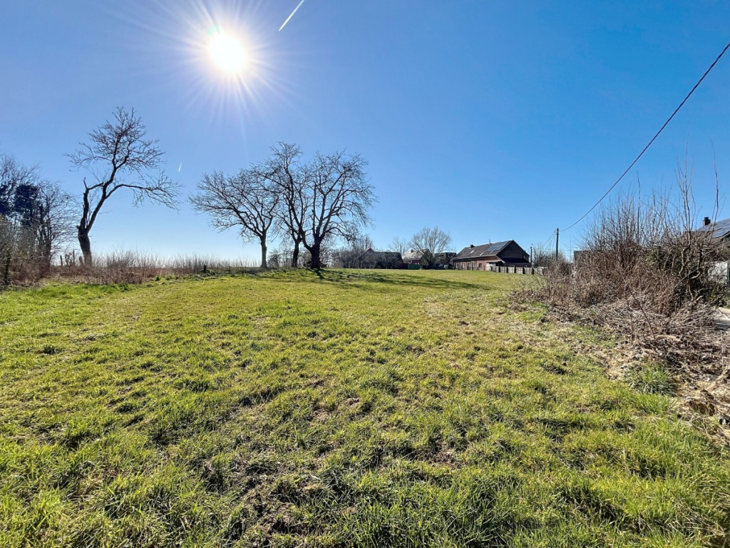 Romont - 19 - D - 1547
