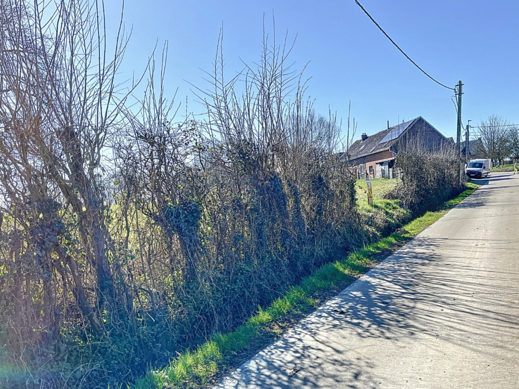 Romont - 19 - C - 1547