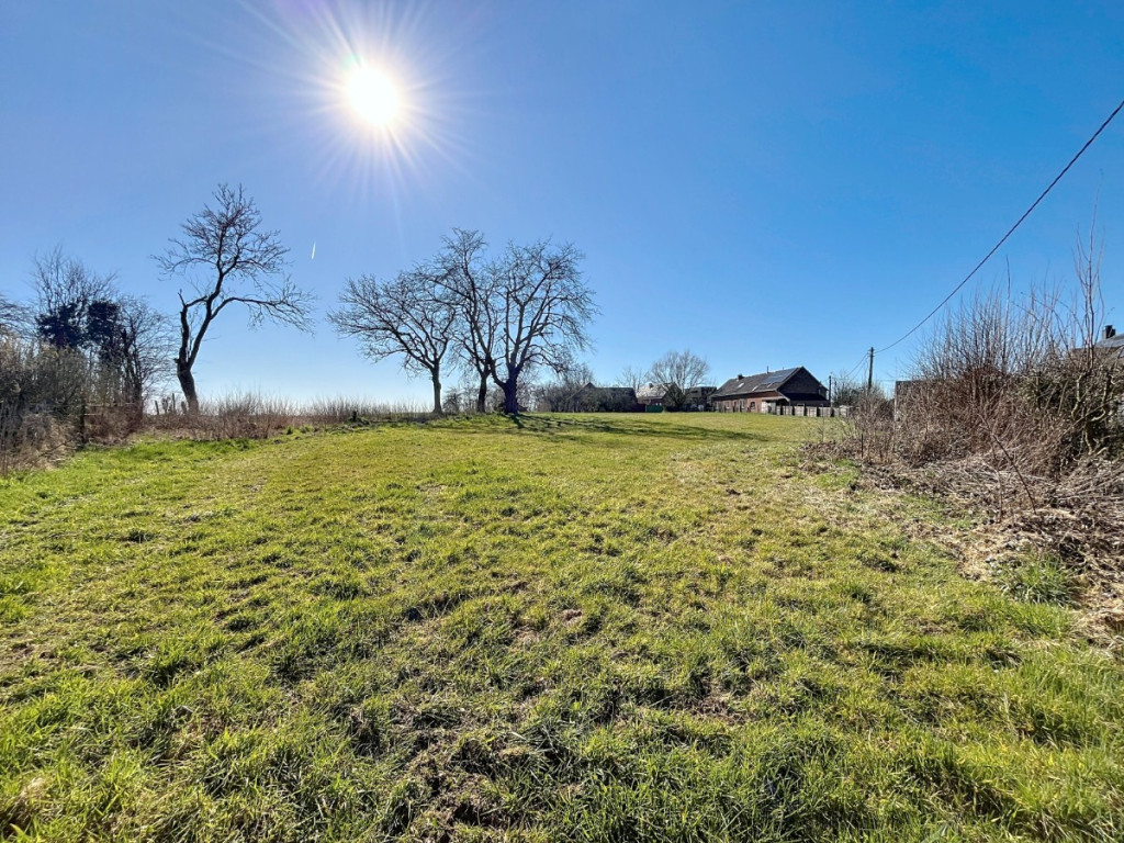 Romont - 19 - D - 1547