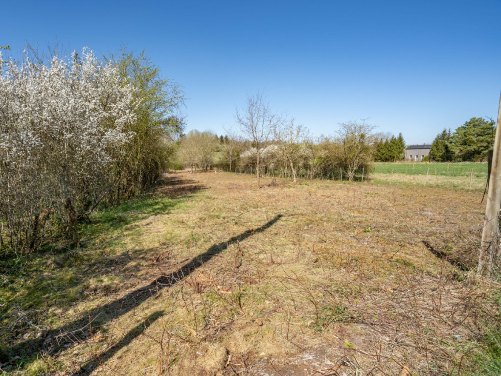 rue Birondai - 0 - - 6997