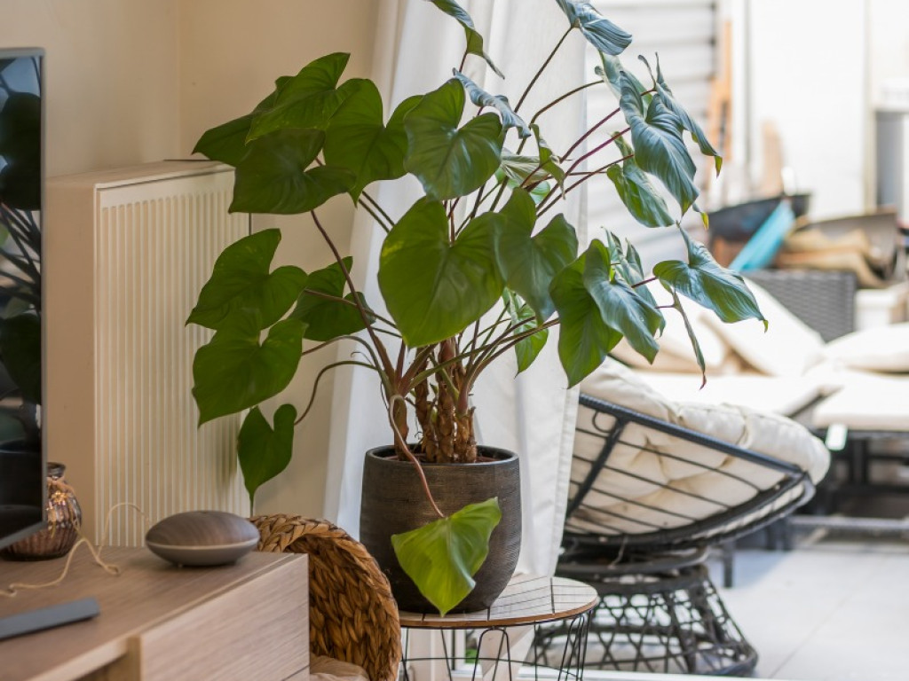 Mercatorstraat - 226 - - 9100