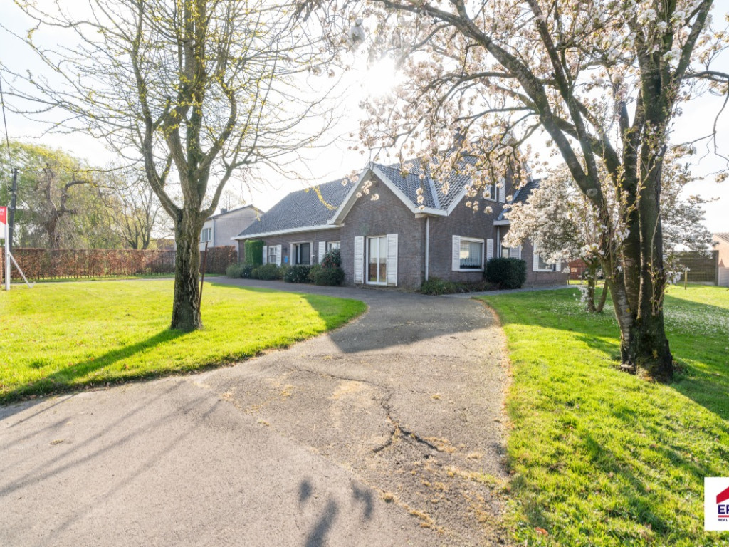 Abeelstraat - 25 - - E950/00P - 8755