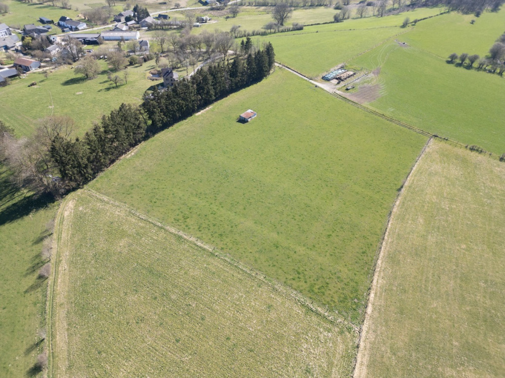 Taverneux - 0 - Lot 1 - 6661