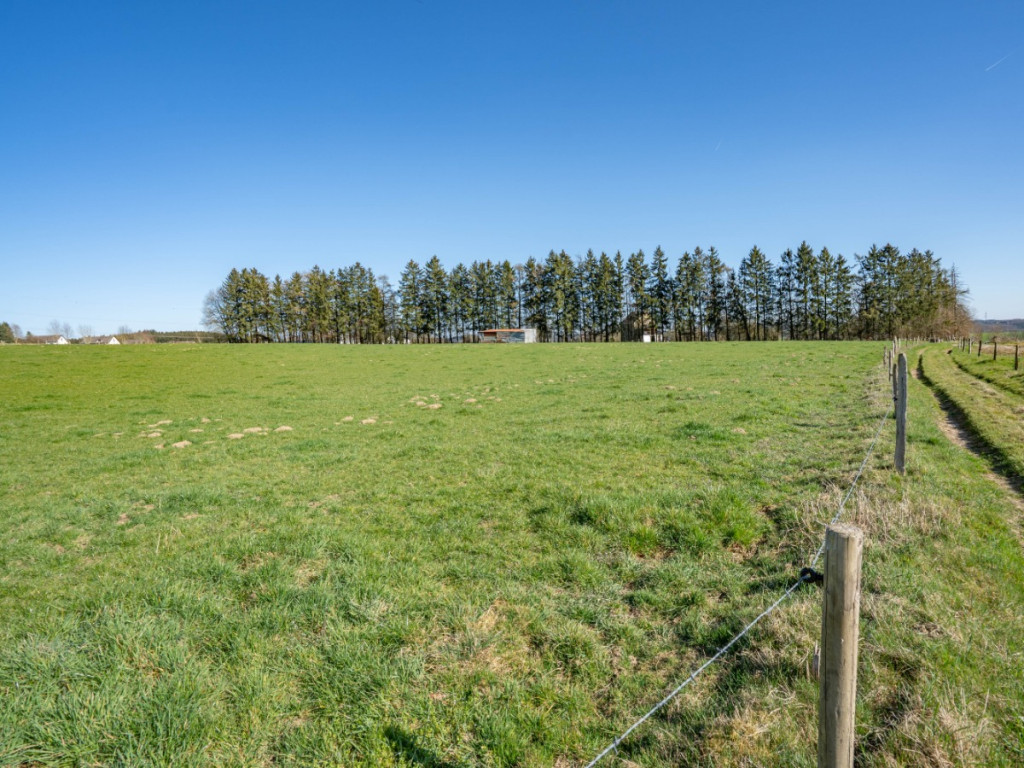 Taverneux - 0 - Lot 1 - 6661