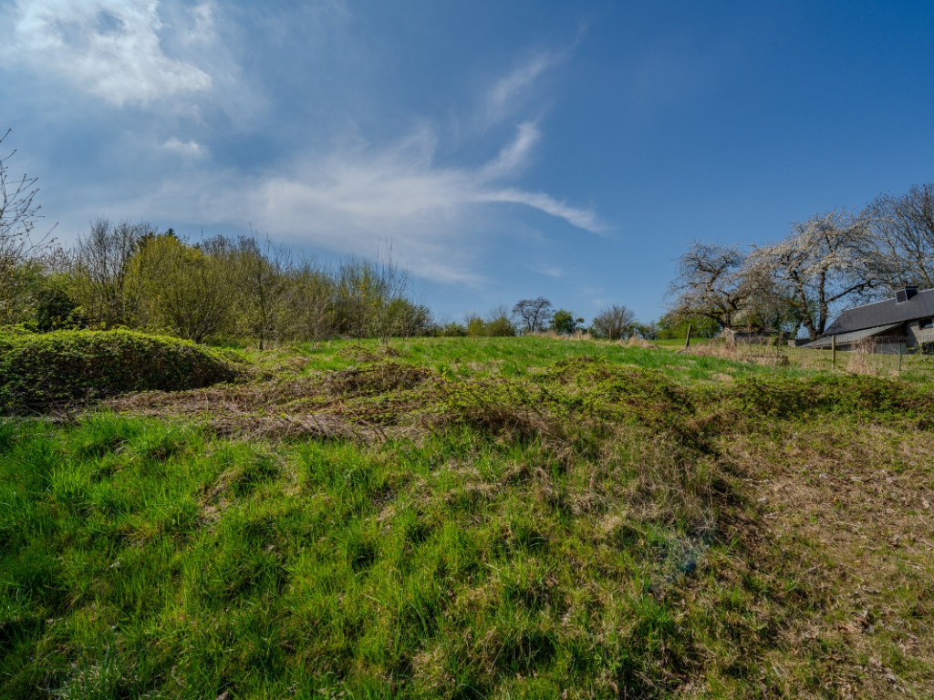 Route d'Havelange - 107 - - 5350