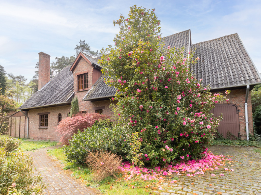 Hindelaan - 38 - - 2970