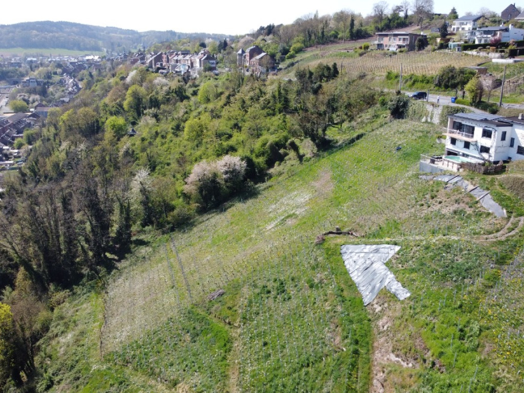 Chaussée de Waremme - 142 - - 4500