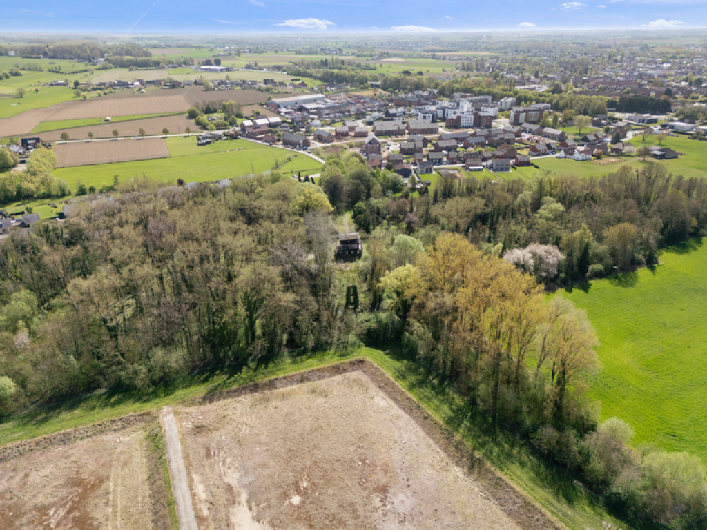 Rue des sports - 29 - - 7800