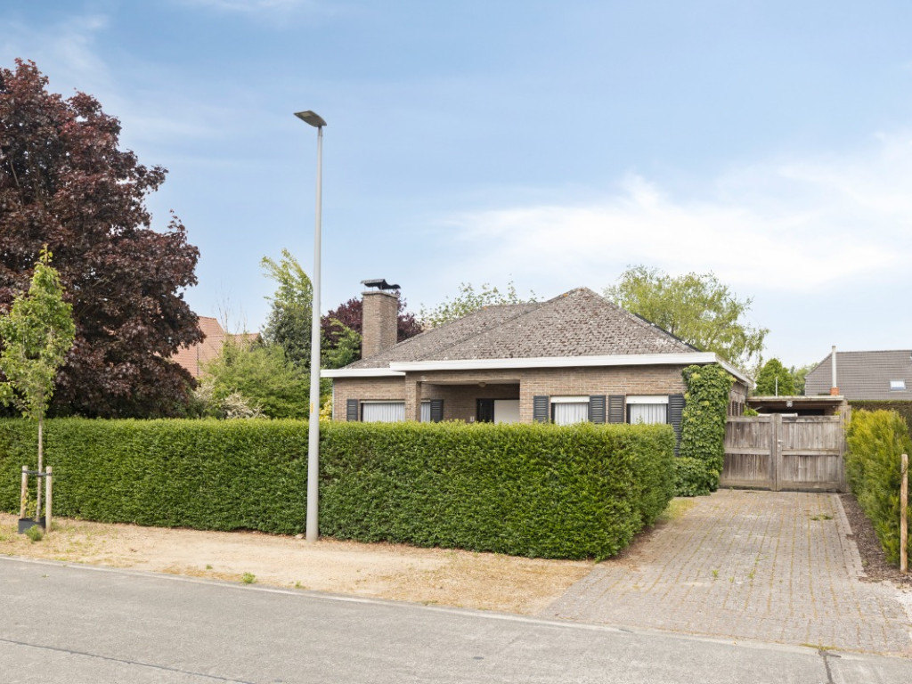 Papegaaistraat - 3 - - 9870