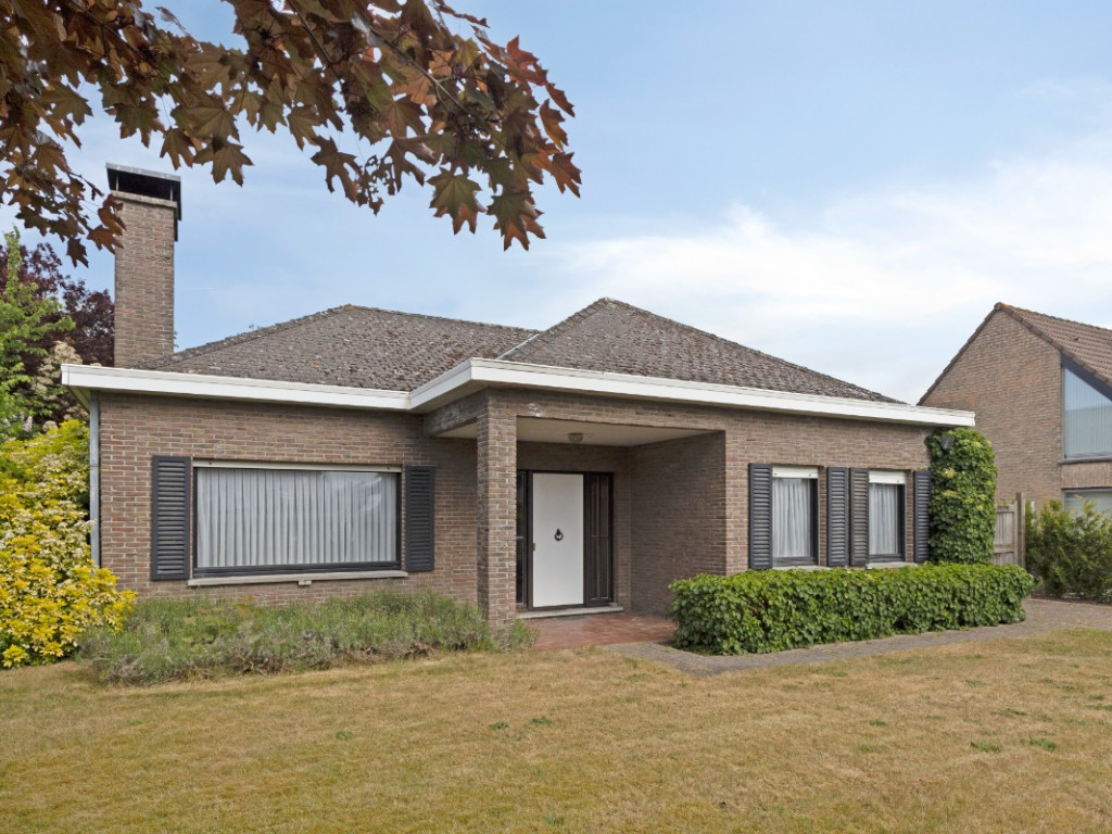 Papegaaistraat - 3 - - 9870