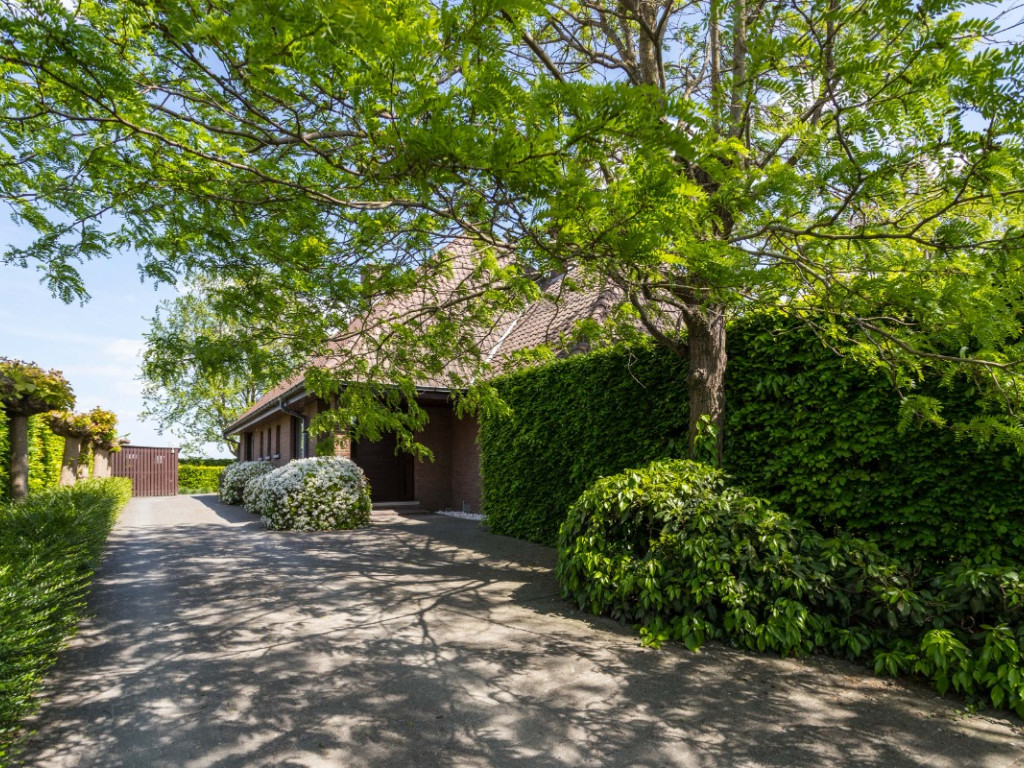 Breestraat - 75 - - 8540