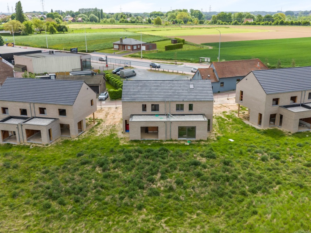 Kruiskouter - 31 - - 6 - 1730