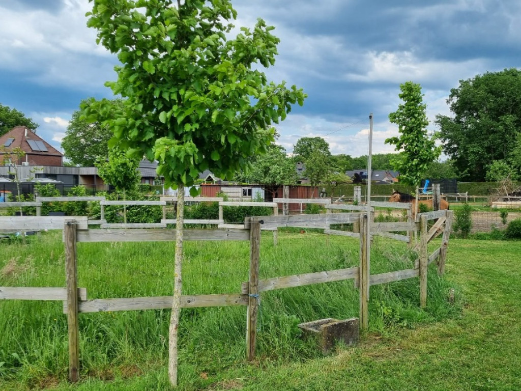 Weg op Bree - 106 - - 3670
