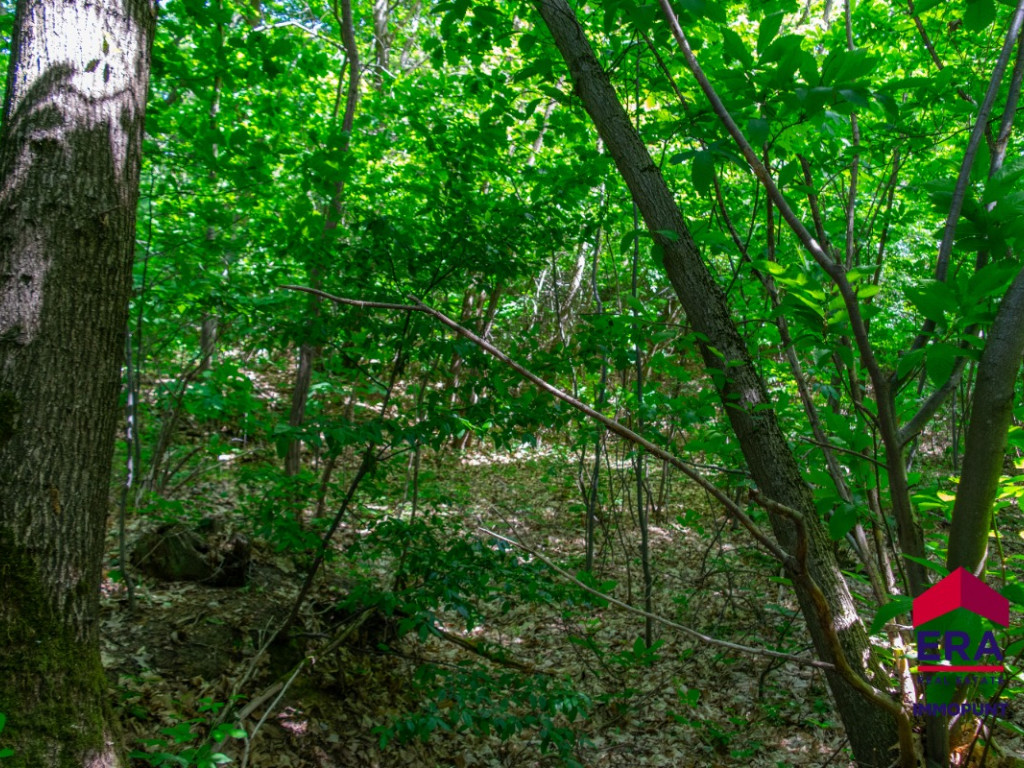 Haksbergstraat - RV 53 - - 3390