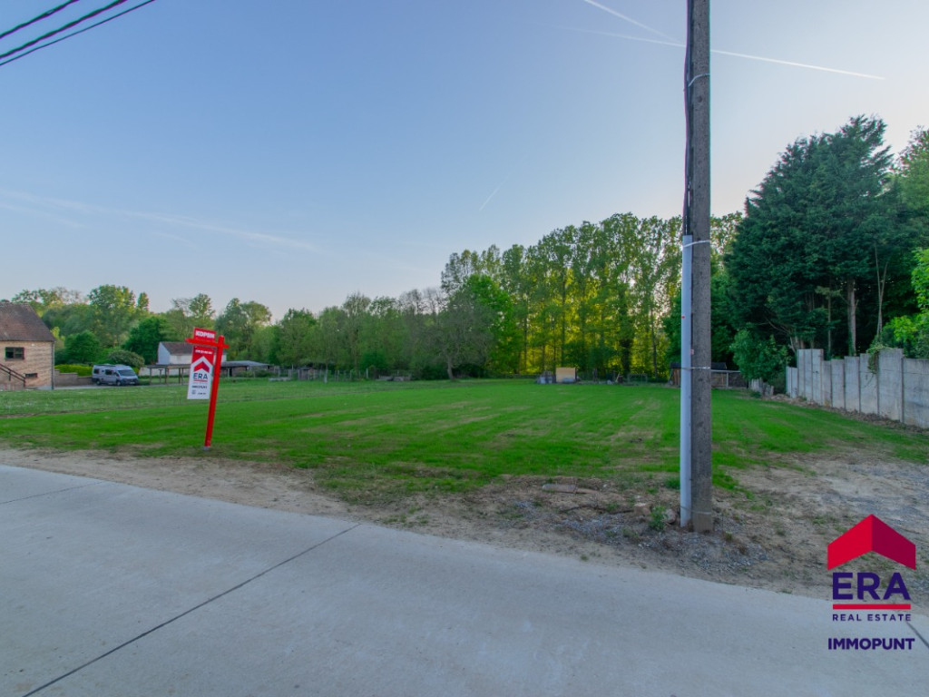 Molendries - 31 - - 3210