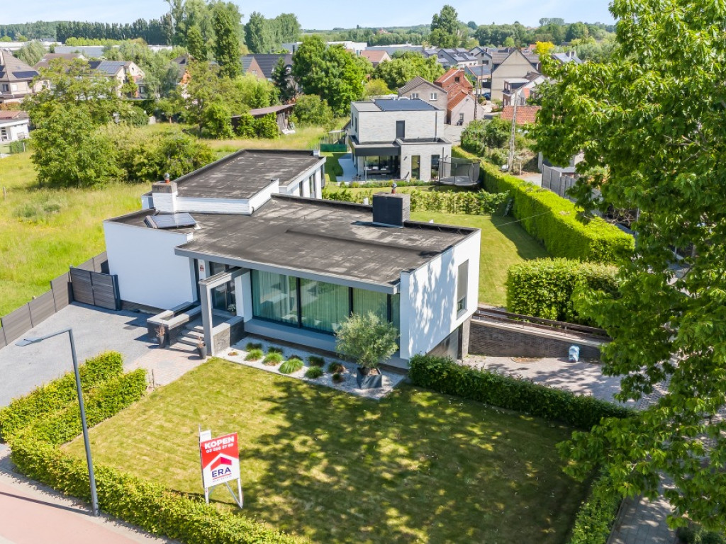 Ringlaan - 175 - - 1745