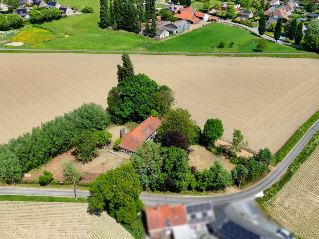 Waffelstraat - 2 - - 8551