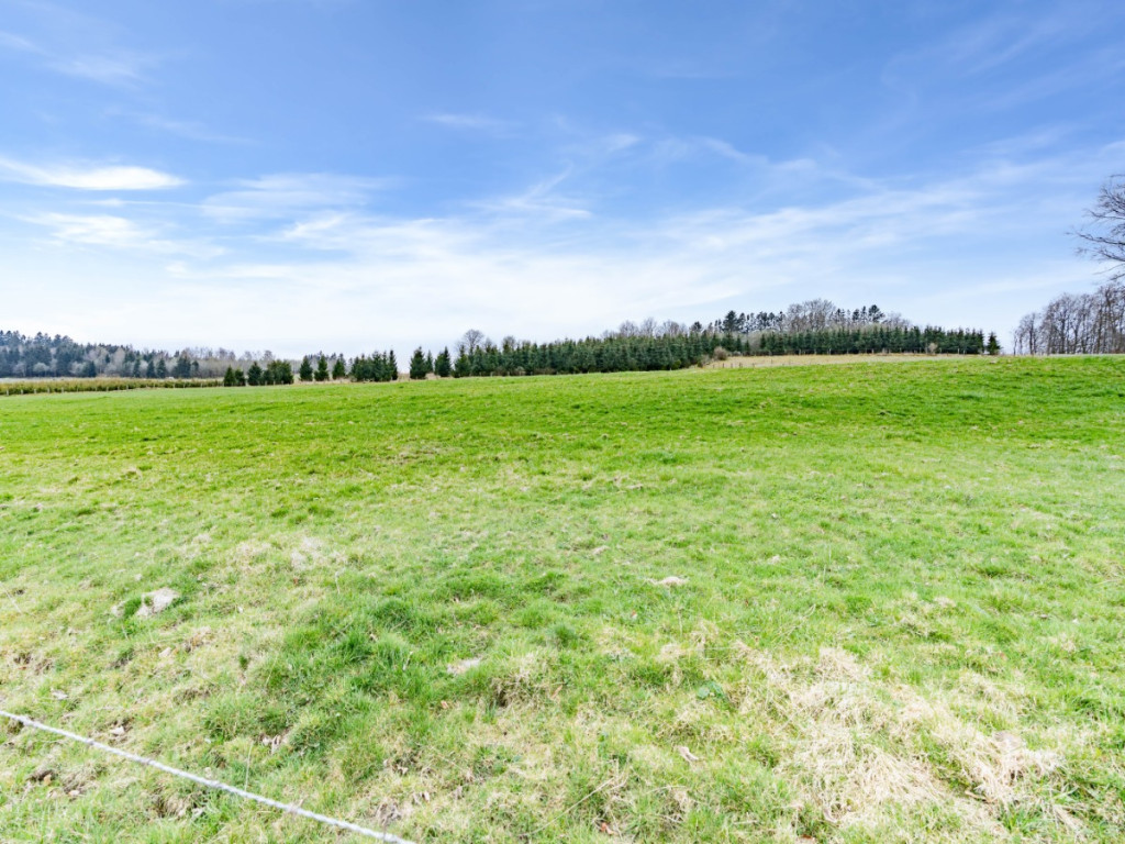 route de La Roche à Stavelot - Regné - LOT 2 - - 6690