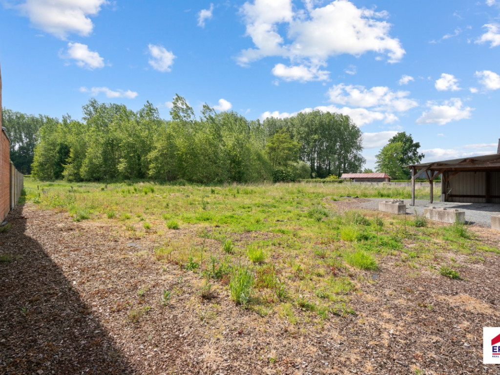 Steenweg op Dendermonde - ZN - - 1745