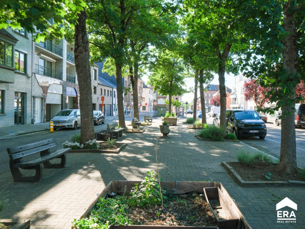 Naamsevest - 56 - - 3800