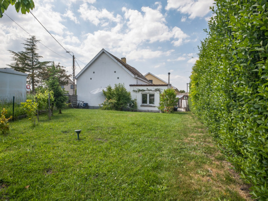 Koudehaard - 2 - - 9255