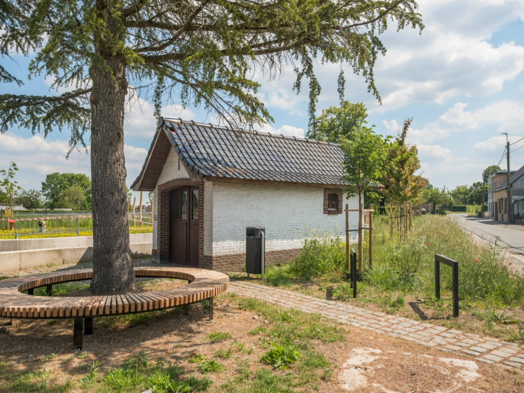 Koudehaard - 2 - - 9255