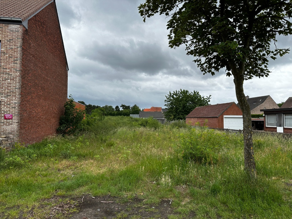 Dorperheide - 41 - - 3920
