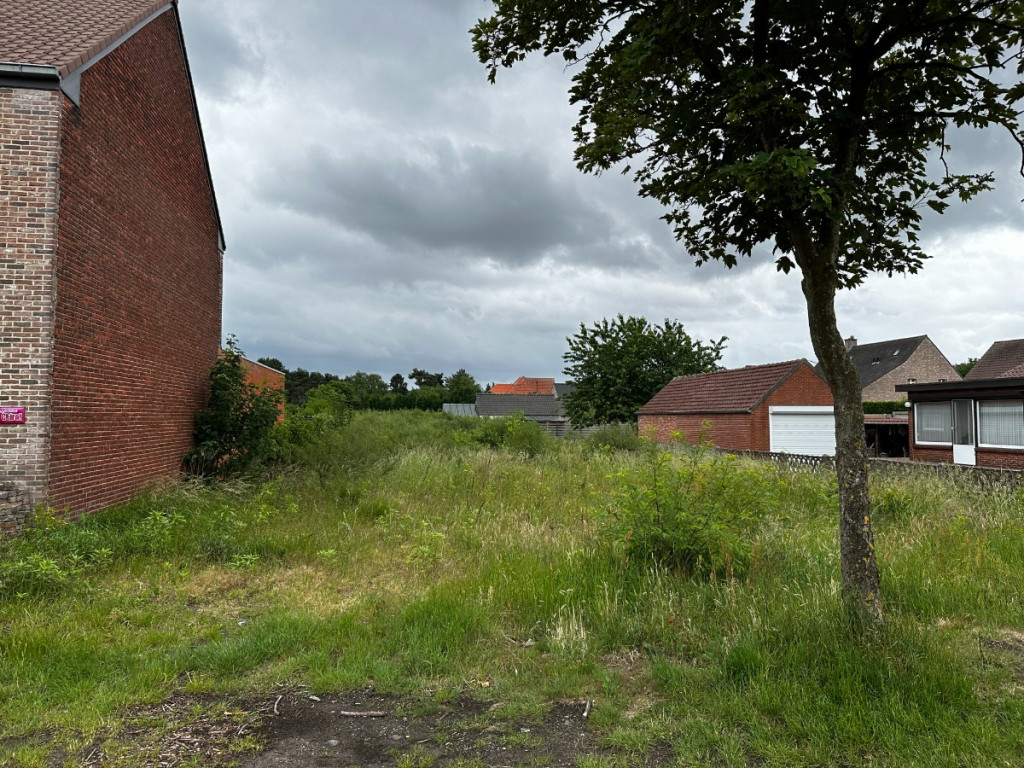 Dorperheide - 41 - - 3920