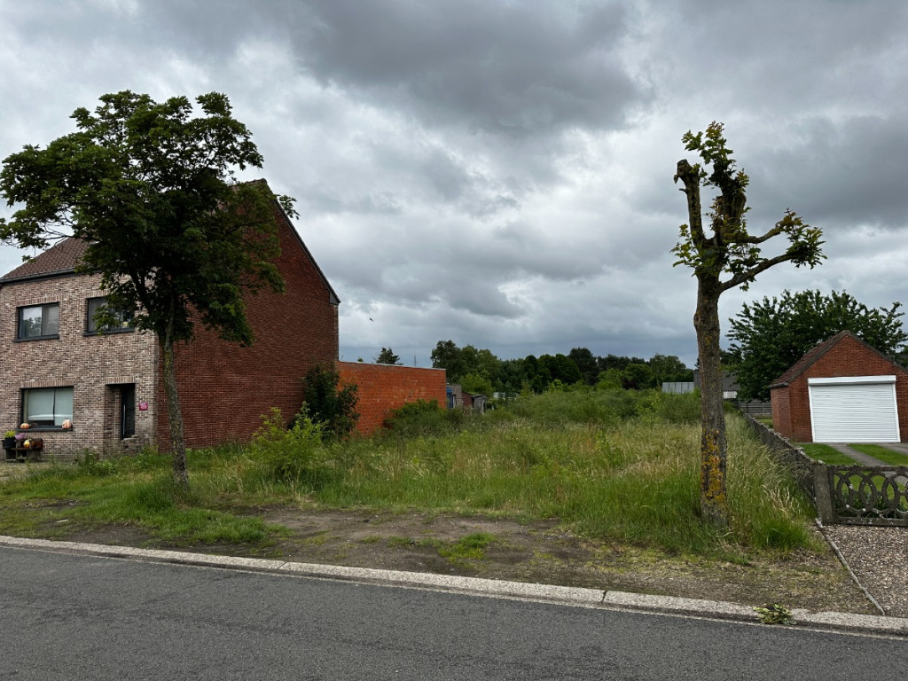 Dorperheide - 41 - - 3920