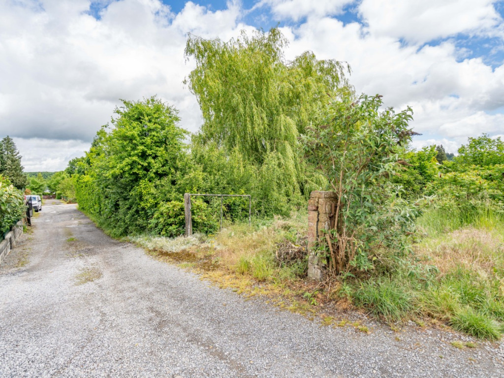 Allée des chevreuils - 325 - - 5542