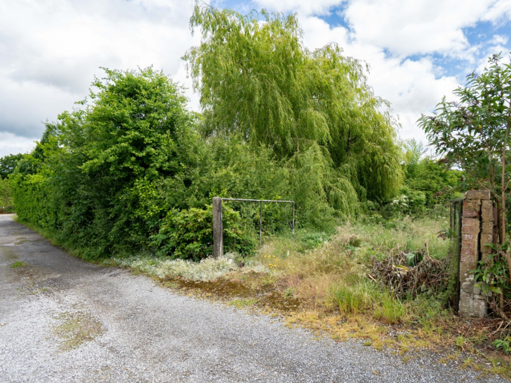 Allée des chevreuils - 325 - - 5542