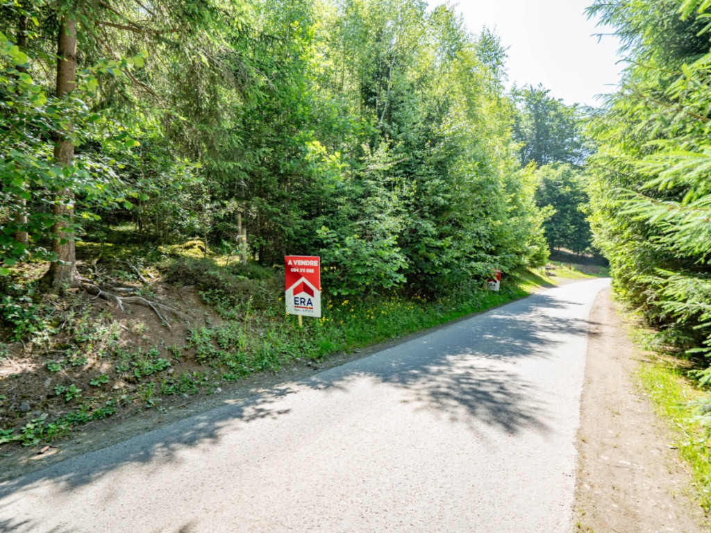 Route de Maboge - 107 - - 6983
