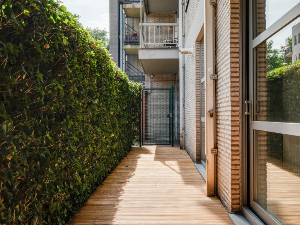 Grotestraat - 59 - - 3600