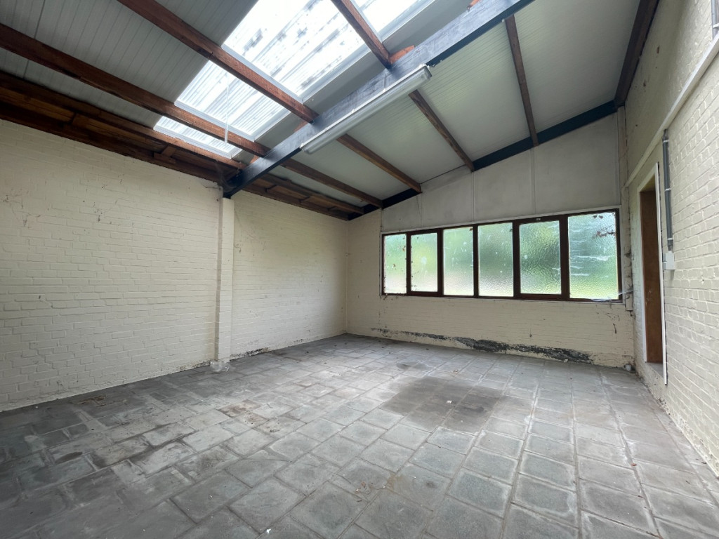 Wolvenstraat - 35+ - - 8500