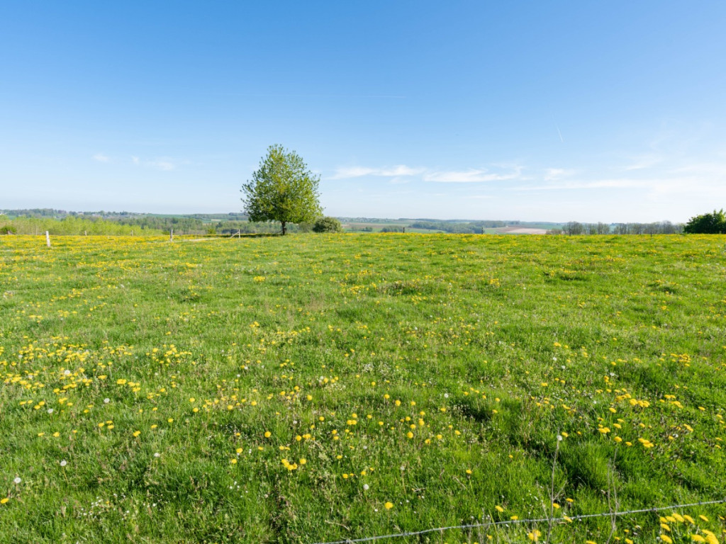 Chemin de la source - 0 - - 6941